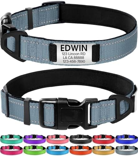 Joytale Personalized Dog Collar with Name Plate Built-in for XSmall Dogs