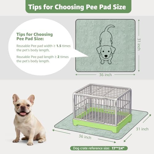 LOOBANI Washable Pee Pads for Dogs,2 Pack Reusable Puppy Pads 31"x36"
