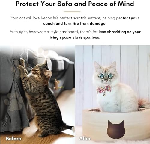 Necoichi Cat-Headed Scratcher Bed (Birch, Large) | Cardboard Cat Scratcher Bowls for Indoor Cats - Cat Scratching Board, Cat Scratch Pad Lounger with Reversible Usability and Extra Comfort for Lounge