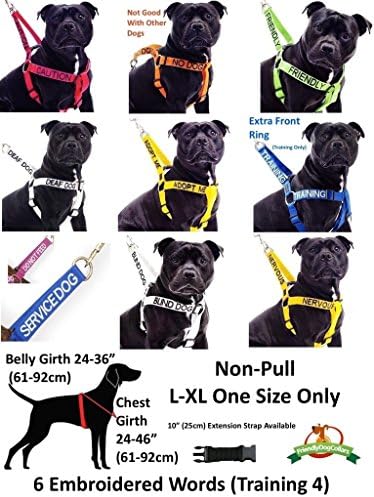 Deaf Dog White Color Coded 2 4 6 Foot Padded Dog Leash (No/Limited Hearing) Prevents Accidents by Warning Others of Your Dog in Advance (6 Foot Leash)