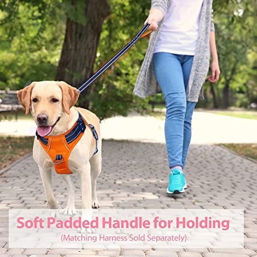 PHOEPET 5 Feet Dog Leash - Dual-Side Reflective - Soft Padded Handle