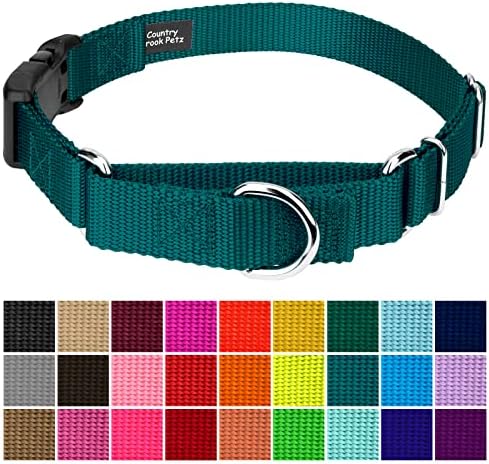 Martingale Dog Collar - Heavy Duty Nylon Adjustable Martingale Dog Collar with Plastic Buckle for Small Medium Large Breeds - 30+ Colors (5/8 Inch, Extra Small, Teal)