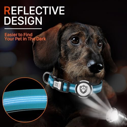 Waterproof AirTag Dog Collar with QR Code Dog Tag, Blue XS