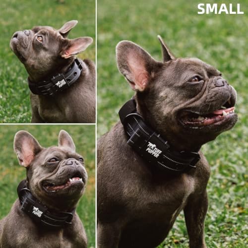 Tuff Pupper Heavy Duty Tactical Dog Collar | 1.25" Wide Ballistic Nylon | Reflective Stitching | Integrated ID Tag Holder | Stainless Steel Buckle | Padded Lining | Small & Medium Dogs (Black, Small)
