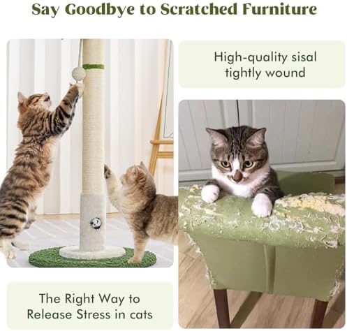 Woochpet Cat Scratching Post for Indoor Cats,36" Tall Cat Scratcher （White）