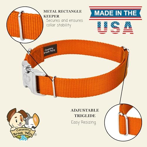 Country Brook Petz - Premium Nylon Dog Collar with Metal Buckle for Small Medium Large Breeds - 30+ Colors (Medium, 3/4 Inch, Orange)