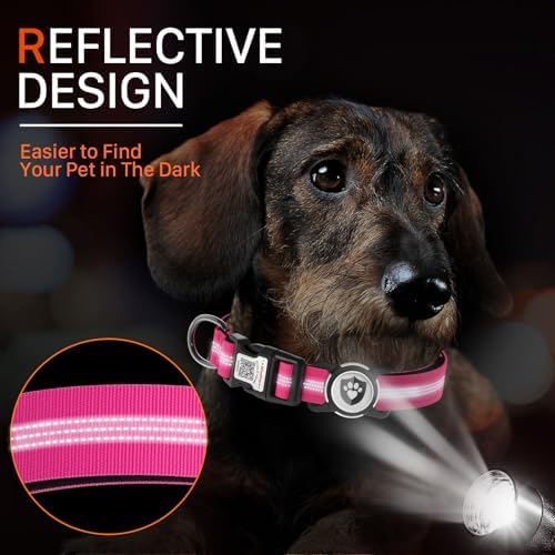 Waterproof AirTag Dog Collar with QR Code Dog Tag, Rose Red M