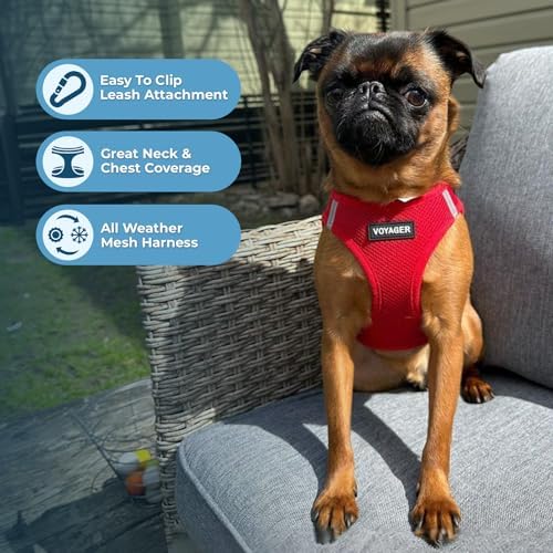 Best Pet Supplies Voyager Step-in Air All Weather Mesh Harness and Reflective Dog 5ft Leash Combo with Neoprene Handle, for Small, Medium and Large Breed Puppies - Red, XX-Small