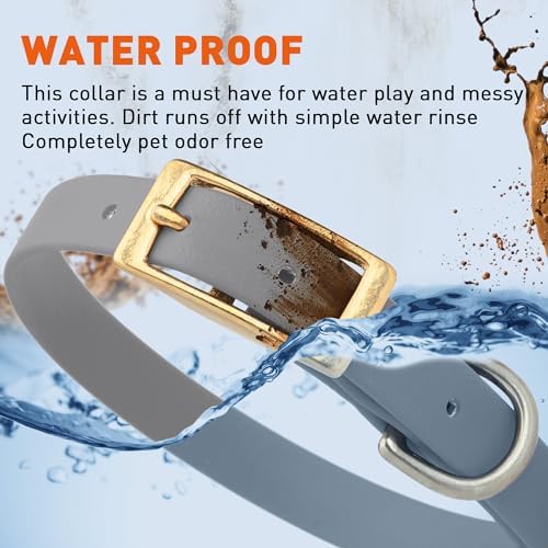 Viper Biothane Heavy Duty Waterproof Dog Collar Strong Coated Nylon Webbing w/Solid Brass Hardware Odor-Proof Easy to Clean High Performance Fits Small Medium or Large Dogs, Battleship Gray