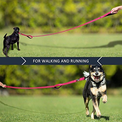 Plutus Pet Double Handle Dog Leash, 4 FT Long, for Medium Large Dogs