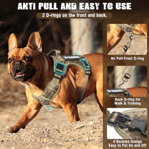 Tactical Service Dog Vest and Leash Set with 10 Patches Camo S