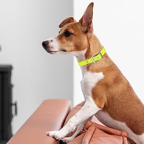 Viper Biothane Heavy Duty Waterproof Dog Collar Strong Coated Nylon Webbing w/Solid Brass Hardware Odor-Proof Easy to Clean High Performance Fits Small Medium or Large Dogs, Safety Yellow