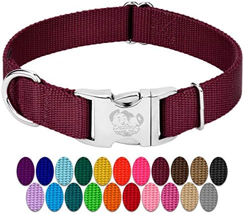 Country Brook Petz - Premium Nylon Dog Collar with Metal Buckle for Small Medium Large Breeds - 30+ Colors (Medium, 3/4 Inch, Burgundy)