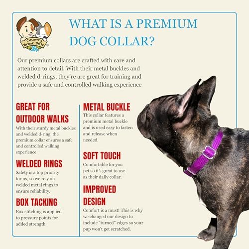 Country Brook Petz - Premium Nylon Dog Collar with Metal Buckle for Small Medium Large Breeds - 30+ Colors (Small, 3/4 Inch, Purple)