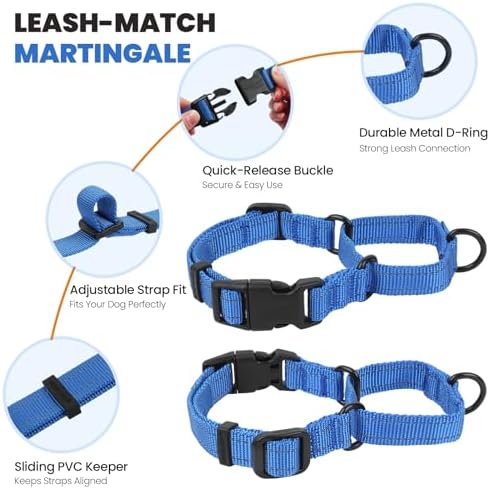 VIVAGLORY Double Handle Dog Leash Twingrip, 5ft x 1in, L, Navy