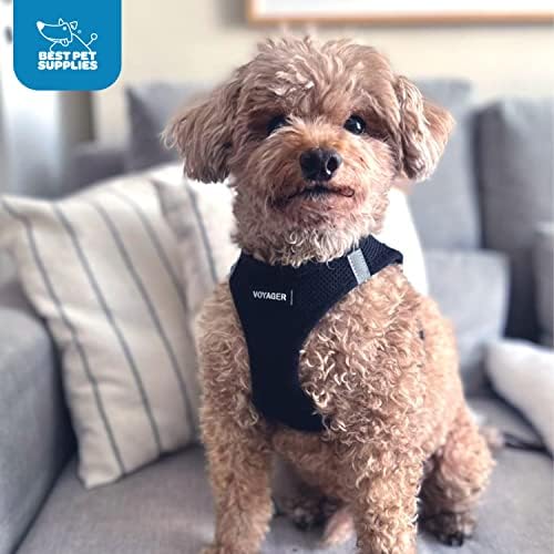 Voyager Step-in Air Dog Vest Harness - Black/Black Trim, Medium