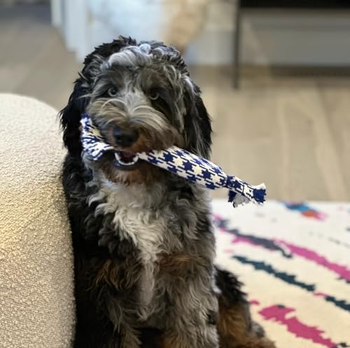 rocket & rex Puppy Tug Rope Toys for Small Dogs, Teething (4pk)