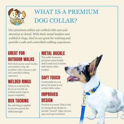 Country Brook Petz - Premium Nylon Dog Collar with Metal Buckle for Small Medium Large Breeds - 30+ Colors (Medium, 3/4 Inch, Yellow)