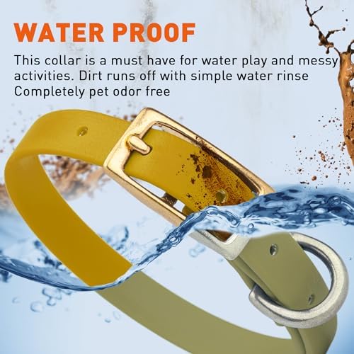 Viper Biothane Heavy Duty Waterproof Dog Collar Strong Coated Nylon Webbing w/Solid Brass Hardware Odor-Proof for Easy Care to Clean High Performance Fits Small Medium or Large Dogs, Treasure Gold