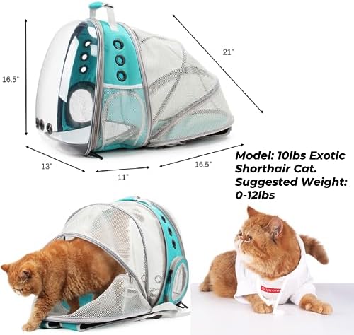 Lollimeow Cat Carrier Backpack, Expandable Bubble Pet Carrier for Cats and Small Dogs, Airline Approved Travel Backpack for Hiking, Walking & Outdoor Adventures - Supports up to 14 lbs