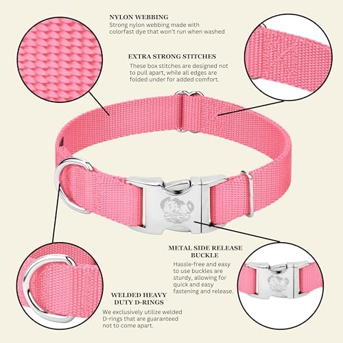 Country Brook Petz - Premium Nylon Dog Collar with Metal Buckle for Small Medium Large Breeds - 30+ Colors (Small, 3/4 Inch, Pink)