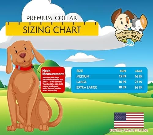 Country Brook Petz - Premium Nylon Dog Collar with Metal Buckle for Small Medium Large Breeds - 30+ Colors (Small, 3/4 Inch, Bright Royal Blue)