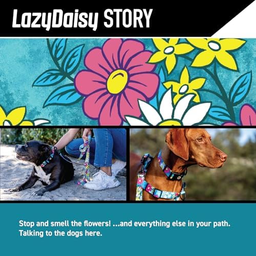 Wolfgang Venture Dog Collar Lazydaisy L