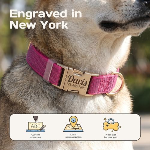 Custom Dog Collar with Name and Phone Number