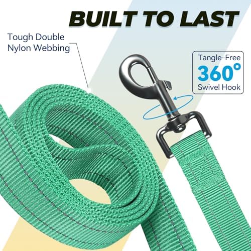 VIVAGLORY Double Handle Dog Leash Twingrip, 4ft x 1in, Turquoise