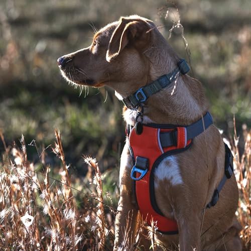 Embark No Pull Dog Harness, Reflective Adjustable Training Vest, No Choke