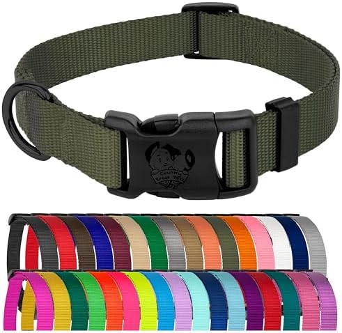 Country Brook Petz - Everyday Nylon Dog Collar for Large, Medium, and Small Dogs and Puppies - for Everyday Use in 30+ Colors (Small, 3/4 Inch Wide, Dark Olive Drab)
