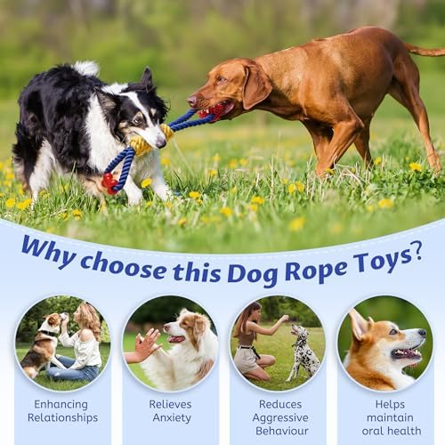 Aitmexcn Dog Rope Toy, Interactive Tug of War Toy for Medium and Large Dogs