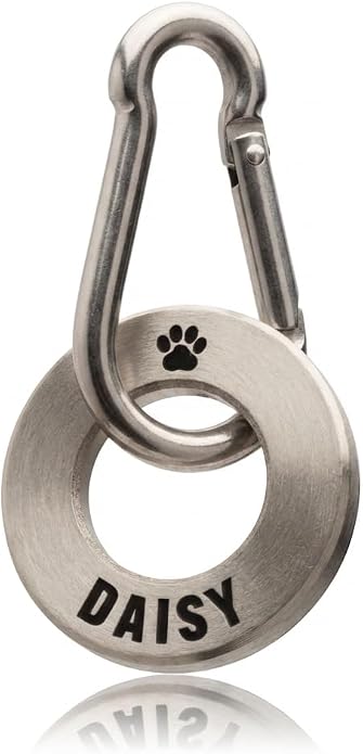Solid Brass or Stainless Steel, Deep Engraved & Polished Dog/Pet ID Tag