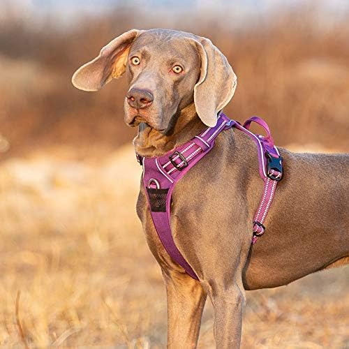 WINHYEPET True Love No Pull Dog Harness Extra Reflective Pet Harness for Small Medium Large Dogs Adjustbale for Running Walking Padded Soft Mesh Vest Easy Control TLH56512(Black,L)