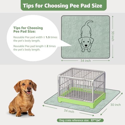 LOOBANI 4 Pack Washable Pee Pads for Dogs, Floor, Whelping, 30"x34"