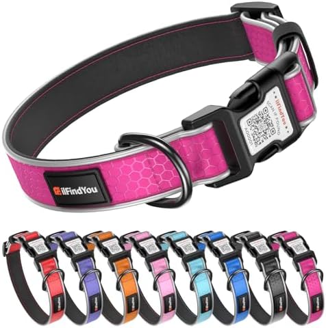 Personalized Dog Collar with QR Code Dog Tag, Oxford Rose Red M