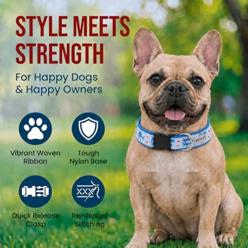 THE WORTHY DOG Summer Print, Adjustable Dog Collar,Medium Dogs, Sharkuterie