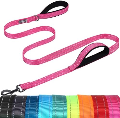 VIVAGLORY Double Handle Dog Leash Twingrip, 4ft x 1in, Pink