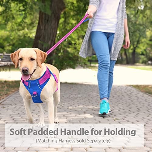 PHOEPET 5 Feet Dog Leash - Dual-Side Reflective - Soft Padded Handle