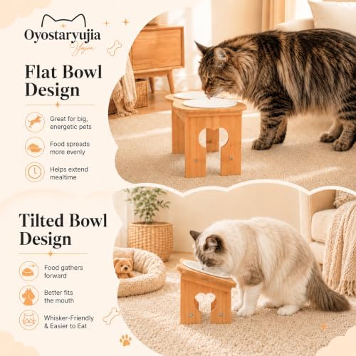 Bone Elevated 5.5" Ceramic Cat Puppy Bowls, Raised Cat Bowl Stand