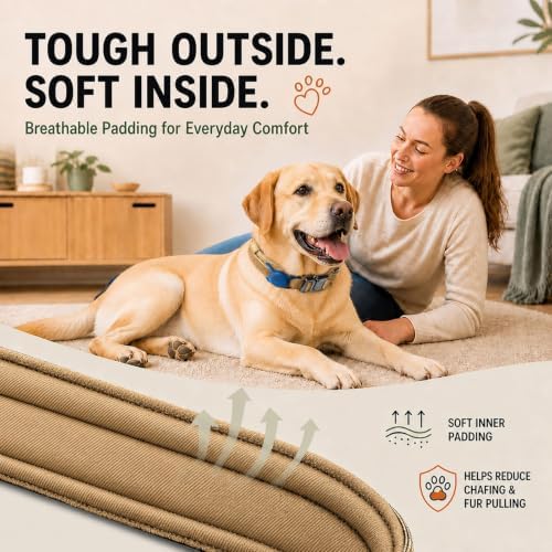 Tactical Dog Collar with Handle, Heavy Duty Nylon for Large Dogs