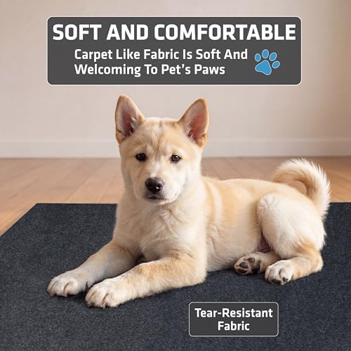 Drymate 2-Pack Washable Pee Pads for Dogs, 29x36, Reusable Puppy Pads