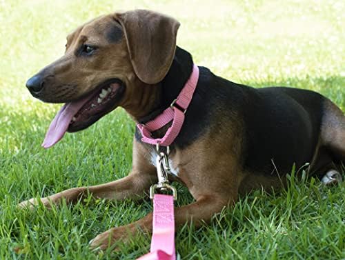 Martingale Dog Collar - Heavy Duty Nylon Adjustable Martingale Dog Collar with Plastic Buckle for Small Medium Large Breeds - 30+ Colors (1 Inch, Medium, Pink)
