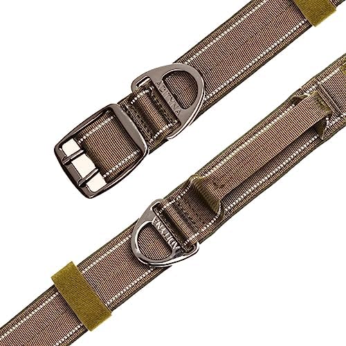 ADITYNA Heavy Duty Green Dog Collar for Medium Dogs with Traffic Handle