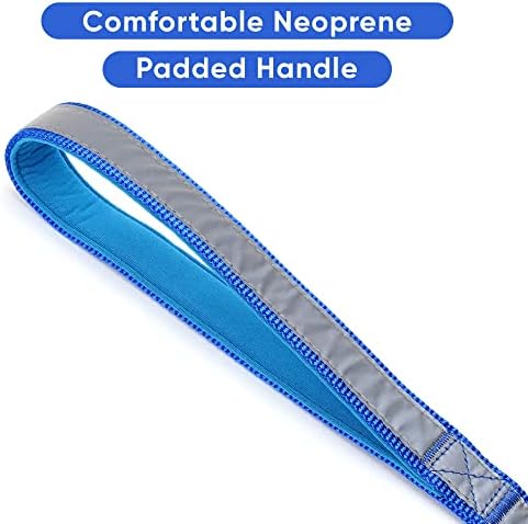 Pawtitas 6 FT Padded Dog Leash with Comfortable Neoprene Padding Handle - Blue Lead | Reflective Dog Leash with Highly Reflective Band Perfect for Extra Small and Small Dogs and Puppies