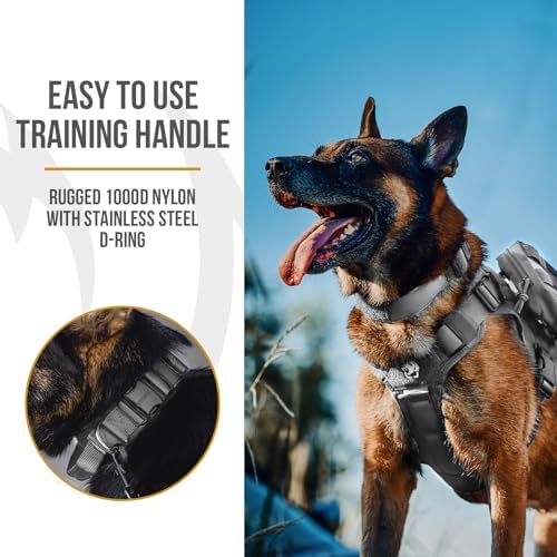 OneTigris Tough Tactical Dog Collar for Small Dogs with Handle Gray S