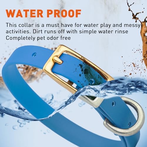 Viper Biothane Heavy Duty Waterproof Dog Collar Strong Coated Nylon Webbing w/Solid Brass Hardware Odor-Proof Easy to Clean High Performance Fits Small Medium or Large Dogs, Cerulean Blue