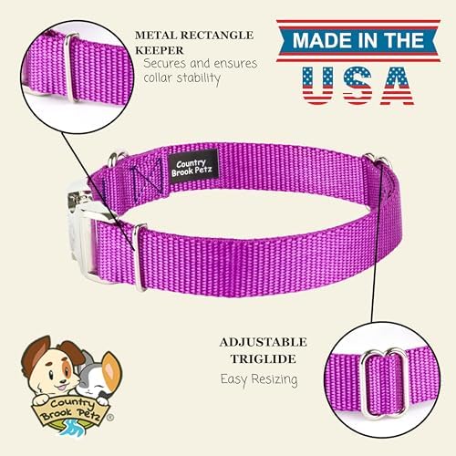 Country Brook Petz - Premium Nylon Dog Collar with Metal Buckle for Small Medium Large Breeds - 30+ Colors (Medium, 3/4 Inch, Bright Purple)