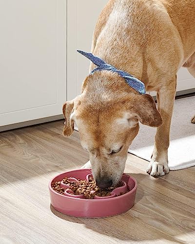 LE TAUCI Slow Feeder Dog Bowls Ceramic, 3 Cups Slow Feeding Dog Bowl Medium Large Breed, Pet Bowl for Fast Eaters, Puzzle Pet Dishes, Pink+Green