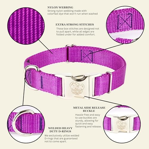 Country Brook Petz - Premium Nylon Dog Collar with Metal Buckle for Small Medium Large Breeds - 30+ Colors (Large, 1 Inch, Bright Purple)